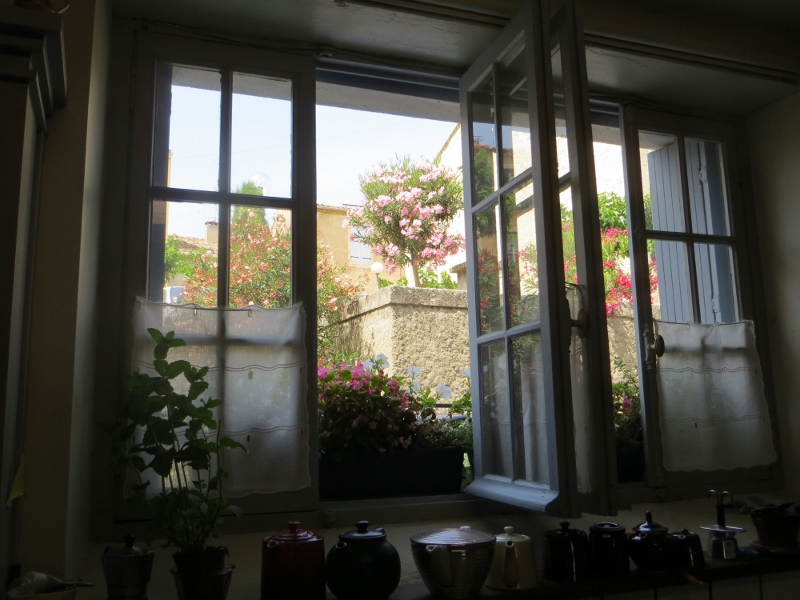 through the kitchen window (800x600).jpg